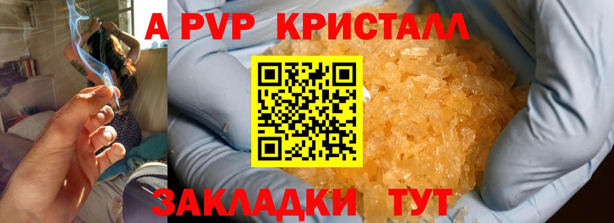 A-PVP СК КРИС Ставрополь
